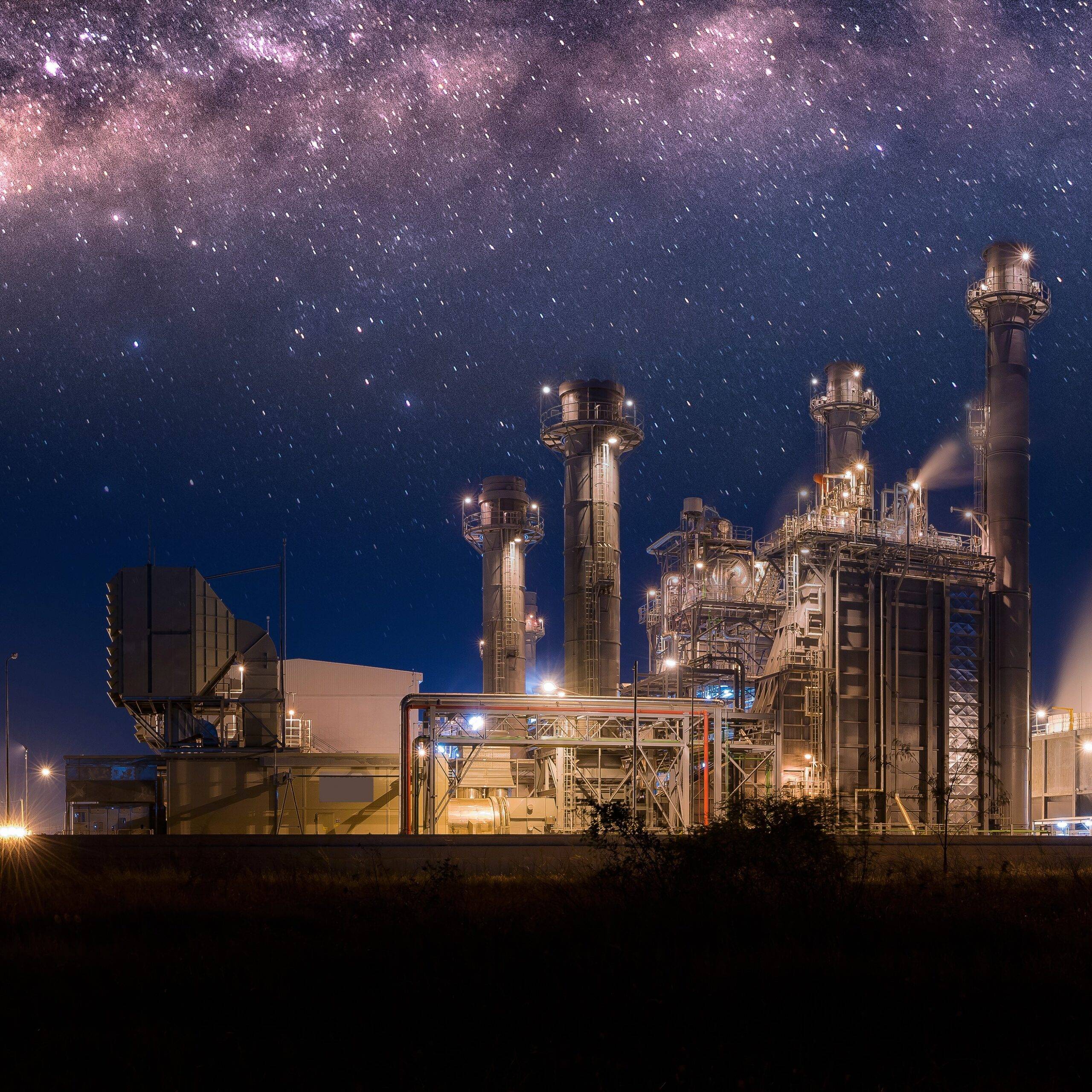 spaceplant SQUARE scaled